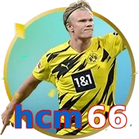 hcm66
